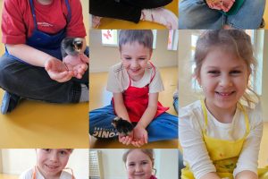 Warsztaty z pisklakami