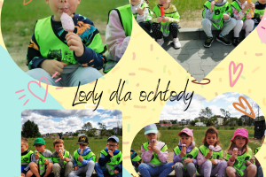 Lody, lody dla ochłody