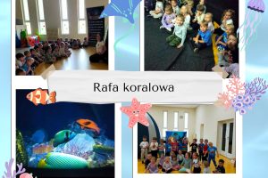 Rafa Koralowa
