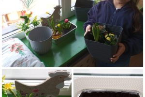 Sadzimy kwiatki, wysiewamy zioła