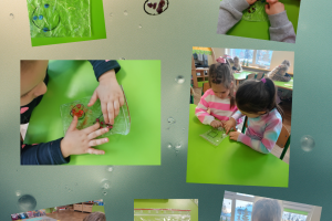 Woreczki sensoryczne