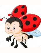 biedronka2